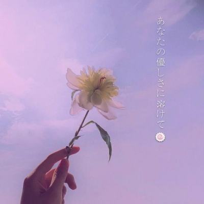 光头强之音乐宝宝游戏